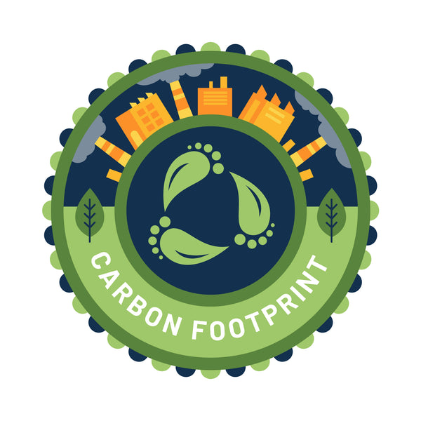 Taking Action: Mitigating Our Carbon Footprint